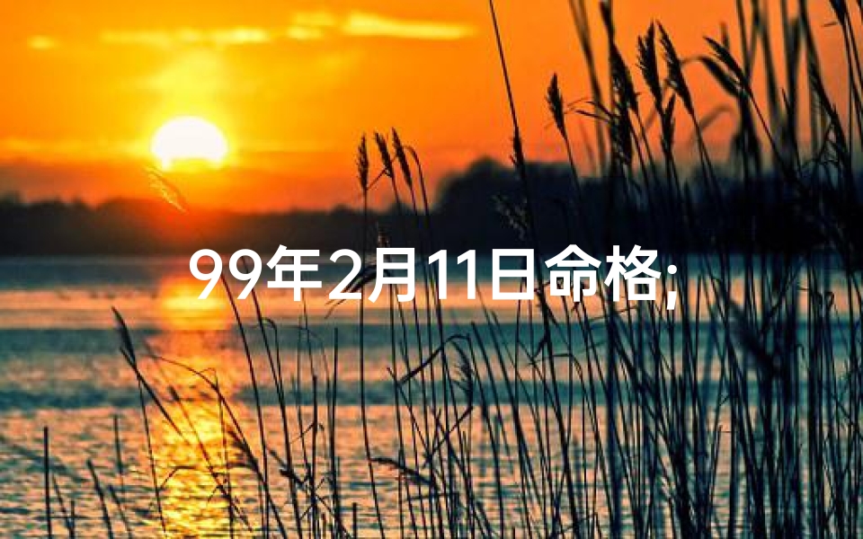 99年2月11日命格;99年2月11日命格：揭秘你的独特命运密码