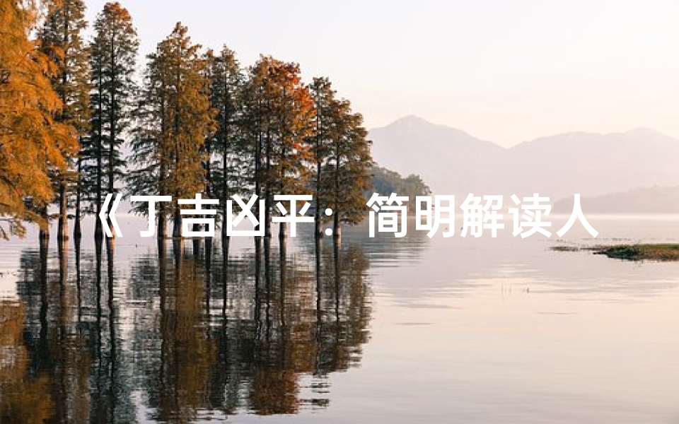 《丁吉凶平：简明解读人生运势》