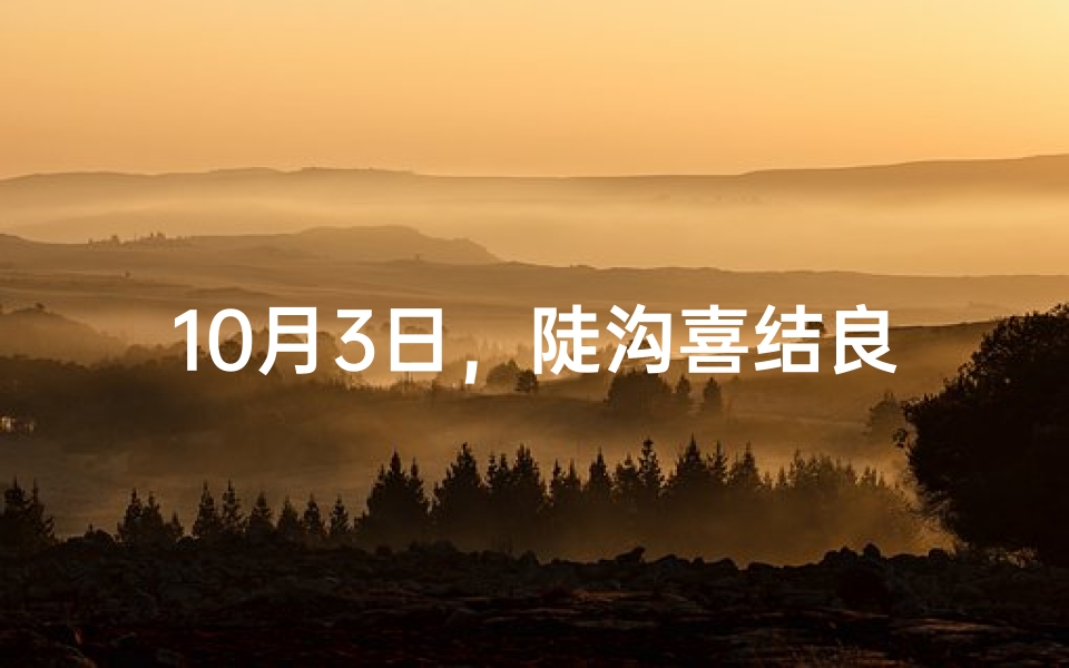 10月3日，陡沟喜结良缘，幸福时刻见证爱情绽放